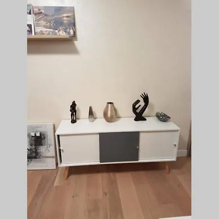 Appartement Luxueux T2, toit-terrasse La Rochelle (Charente-Maritime)